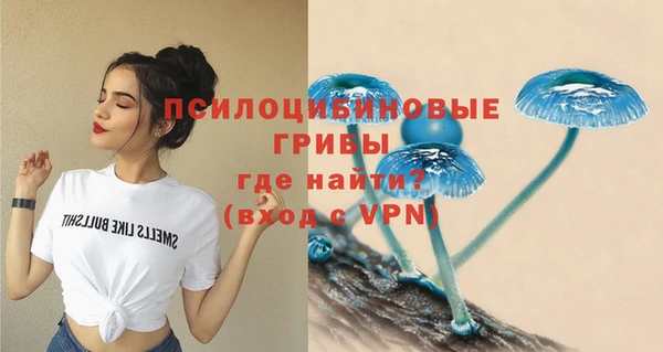 мет Дмитров