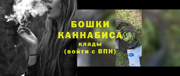 мет Дмитров
