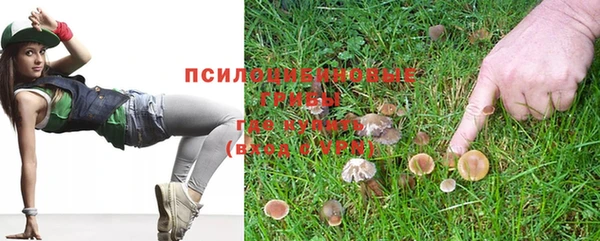 альфа пвп Дмитриев