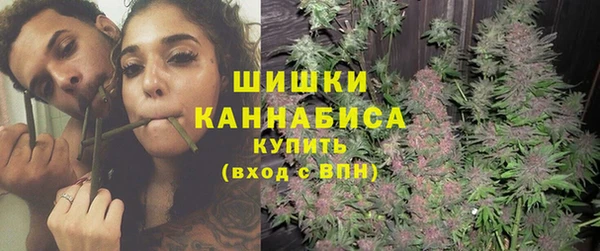 мет Дмитров