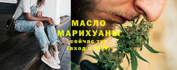 мет Дмитров