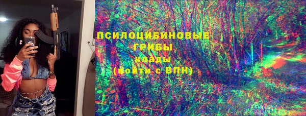 мет Дмитров