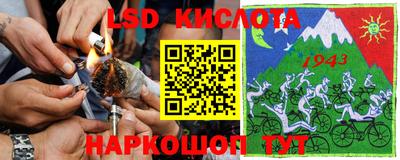 сатива Брянск