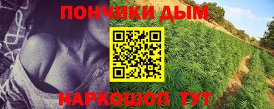 сатива Брянск