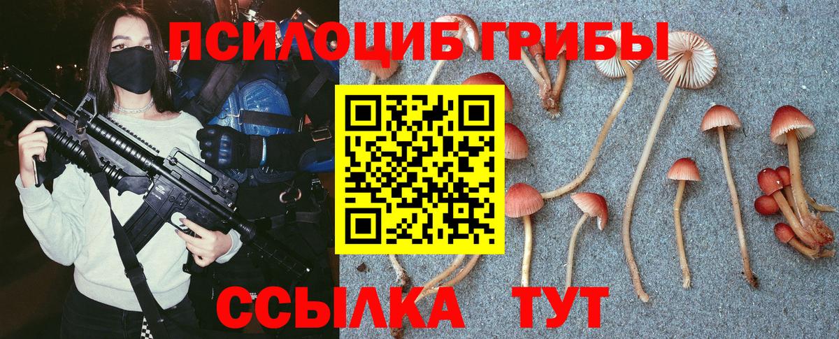 Псилоцибиновые грибы GOLDEN TEACHER Заречный