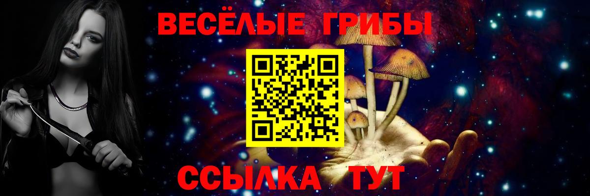 Заречный  Псилоцибиновые грибы GOLDEN TEACHER  Вход с VPN 